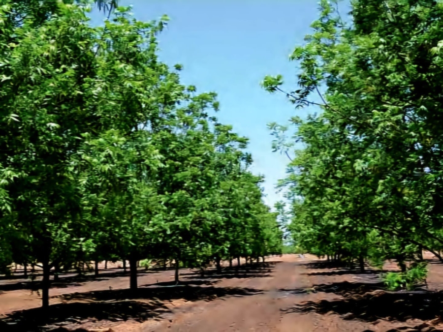 Commercial Property for Sale in Kimberley Rural Northern Cape